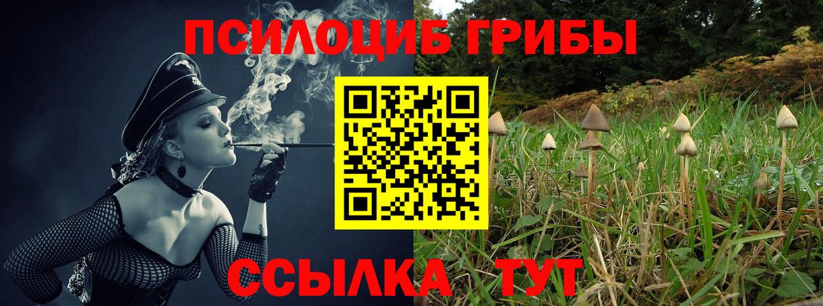 Псилоцибиновые грибы мухоморы  Вход с VPN  Павлово  как найти   Галлюциногенные грибы MAGIC MUSHROOMS 